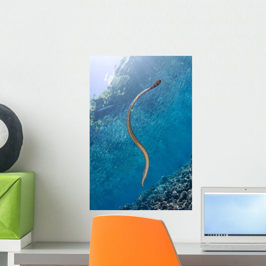 Chinese Sea Snake Banda Wall Decal Design 3