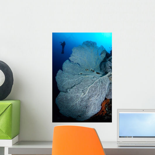 Gorgonian Sea Fan and Wall Decal