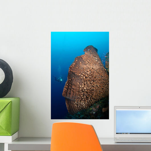 Elephant Ear Sponge Dwarfs Wall Decal