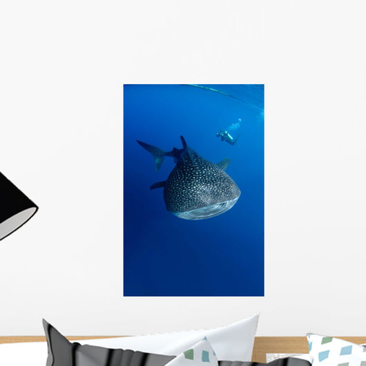 Diver Films Whale Shark Wall Decal