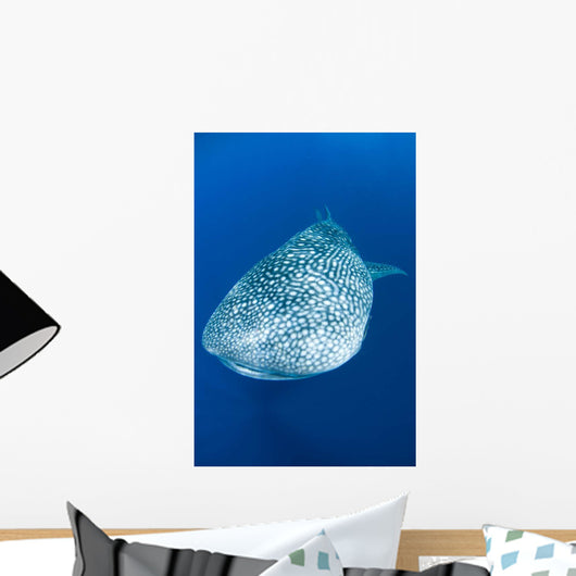 Whale Shark Cenderawasih Bay Wall Decal Design 2
