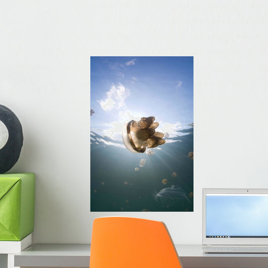Sunrays Illuminate Jellyfish Kakaban Wall Decal Design 9