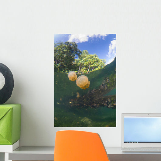 Jellyfish Surface Kakaban Island Wall Decal Design 3