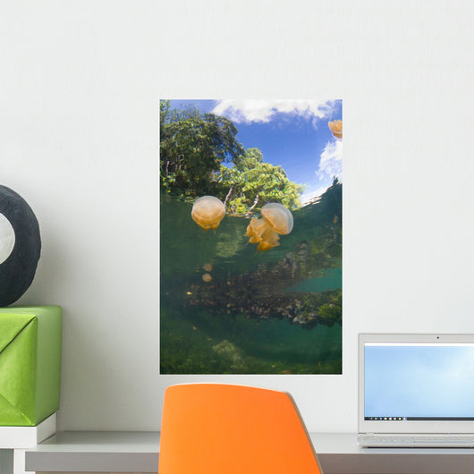 Jellyfish Surface Kakaban Island Wall Decal Design 2