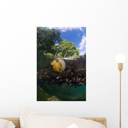 Jellyfish Surface Kakaban Island Wall Decal Design 1
