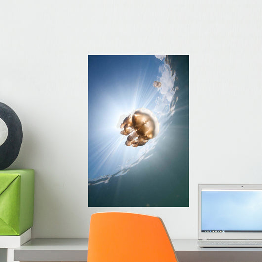 Sunrays Illuminate Jellyfish Kakaban Wall Decal Design 5