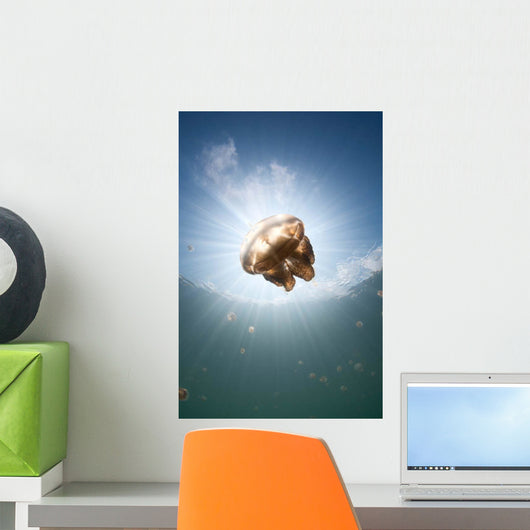 Sunrays Illuminate Jellyfish Kakaban Wall Decal Design 3