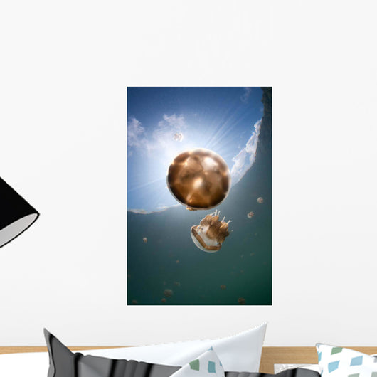 Sunrays Illuminate Jellyfish Kakaban Wall Decal Design 2