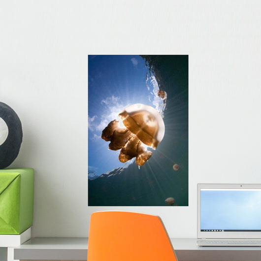 Sunrays Illuminate Jellyfish Kakaban Wall Decal Design 1