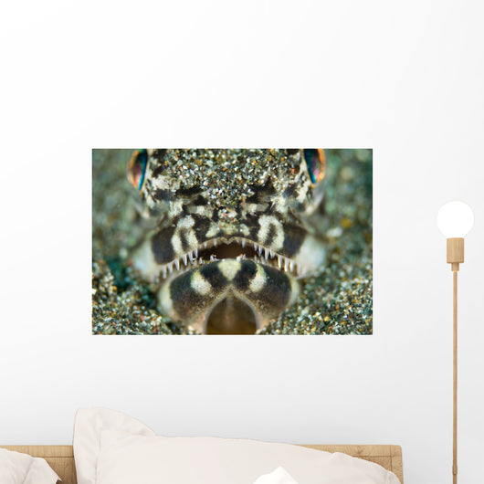Portrait Lizardfish Wall Decal