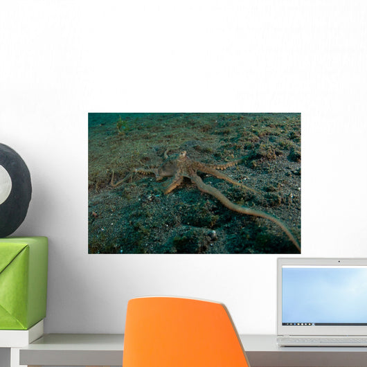 Longarm Octopus Reaching to Wall Decal