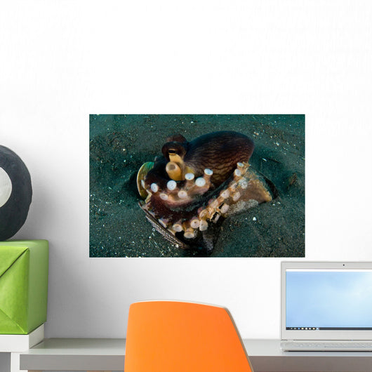 Coconut Octopus Broken Bottle Wall Decal Design 2
