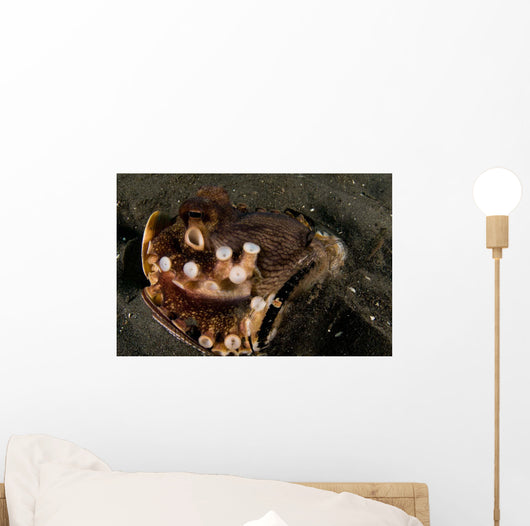 Coconut Octopus Broken Bottle Wall Decal Design 1