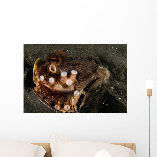 Coconut Octopus Broken Bottle Wall Decal Design 1
