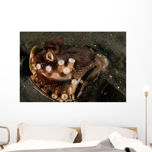 Coconut Octopus Broken Bottle Wall Decal Design 1