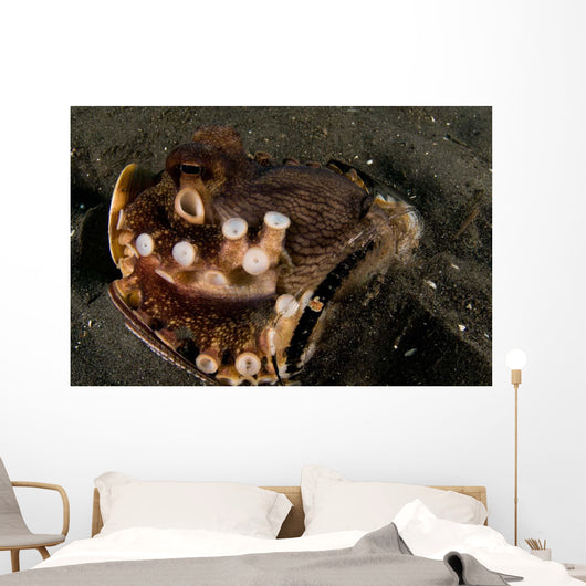 Coconut Octopus Broken Bottle Wall Decal Design 1