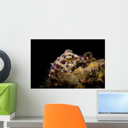 Blue Ring Octopus Displaying Wall Decal Design 5