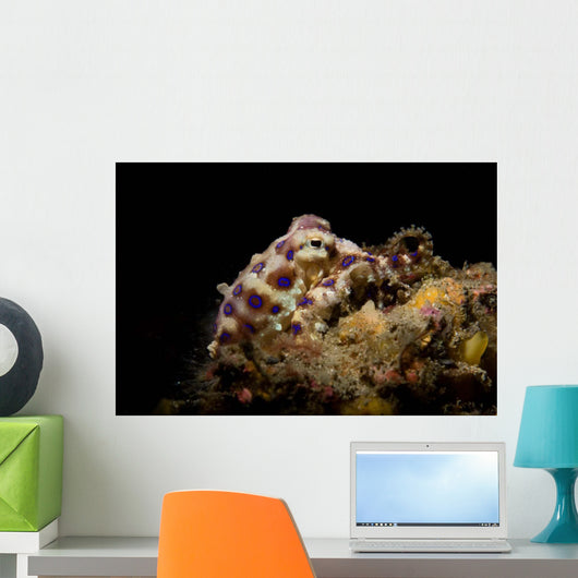 Blue Ring Octopus Displaying Wall Decal Design 5