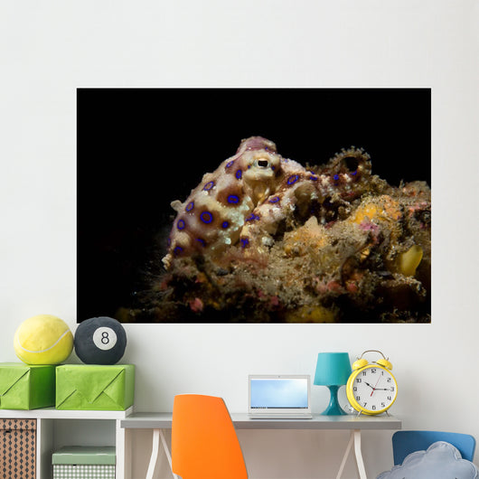 Blue Ring Octopus Displaying Wall Decal Design 5