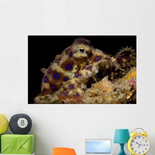 Blue Ring Octopus Displaying Wall Decal Design 4