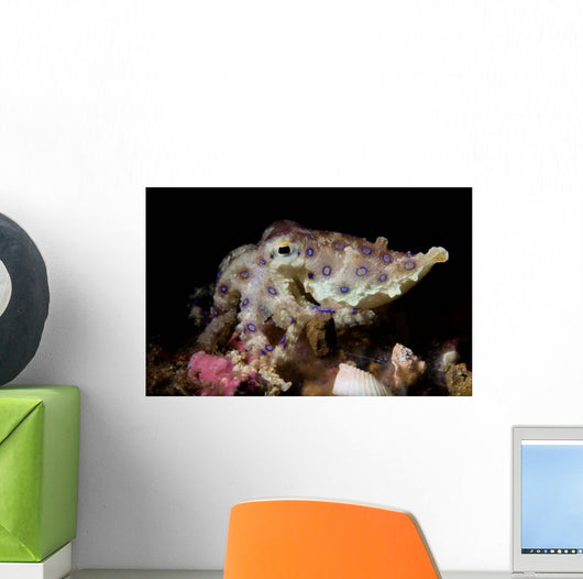 Blue Ring Octopus Displaying Wall Decal Design 3