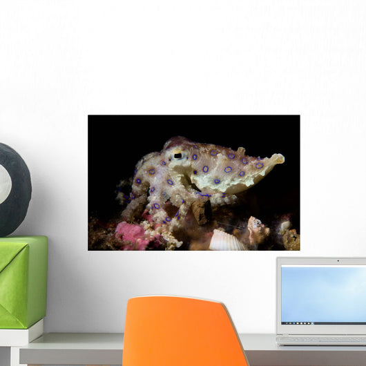 Blue Ring Octopus Displaying Wall Decal Design 3