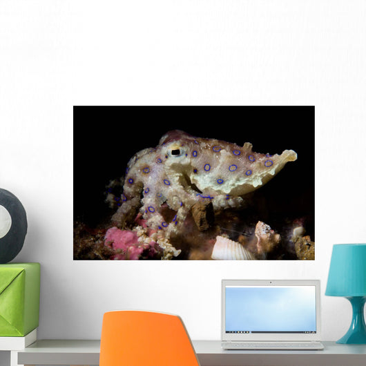 Blue Ring Octopus Displaying Wall Decal Design 3