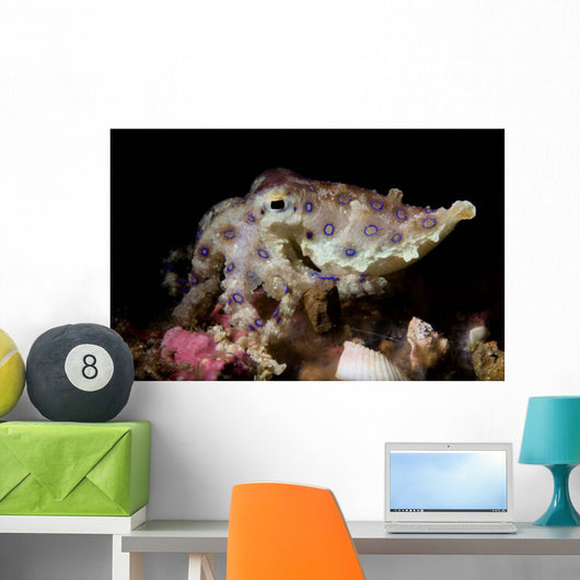 Blue Ring Octopus Displaying Wall Decal Design 3