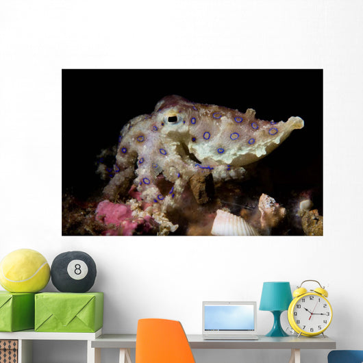 Blue Ring Octopus Displaying Wall Decal Design 3
