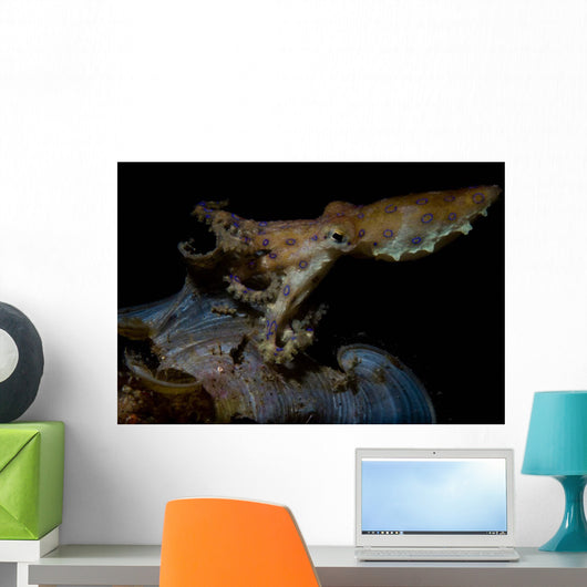 Blue Ring Octopus Displaying Wall Decal Design 1