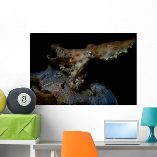Blue Ring Octopus Displaying Wall Decal Design 1