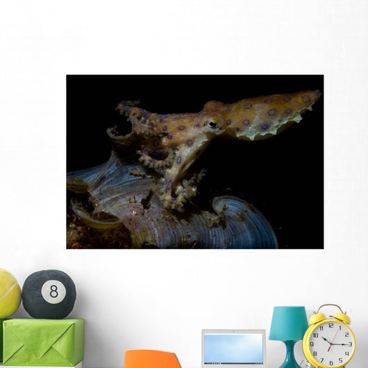 Blue Ring Octopus Displaying Wall Decal Design 1