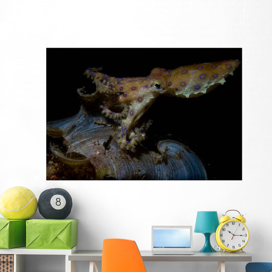 Blue Ring Octopus Displaying Wall Decal Design 1