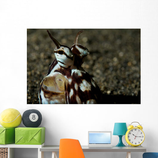 Mimic Octopus Lembeh Strait Wall Decal Design 5