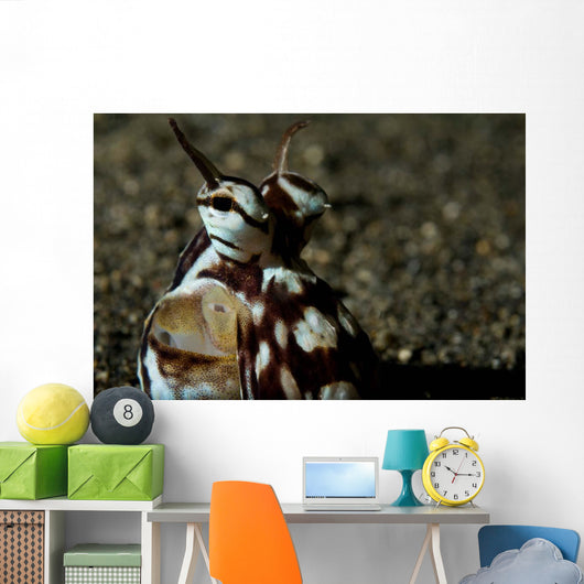 Mimic Octopus Lembeh Strait Wall Decal Design 5