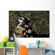 Mimic Octopus Lembeh Strait Wall Decal Design 5