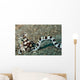 Mimic Octopus Lembeh Strait Wall Decal Design 4