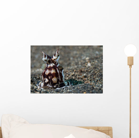 Mimic Octopus Lembeh Strait Wall Decal Design 3