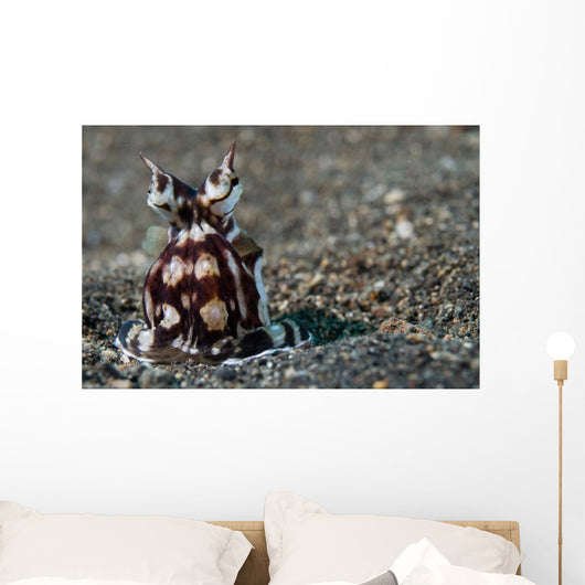 Mimic Octopus Lembeh Strait Wall Decal Design 3
