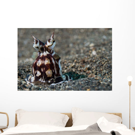 Mimic Octopus Lembeh Strait Wall Decal Design 3