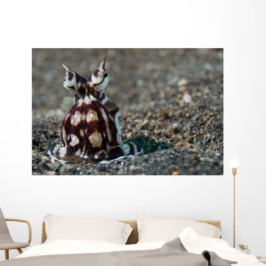 Mimic Octopus Lembeh Strait Wall Decal Design 3