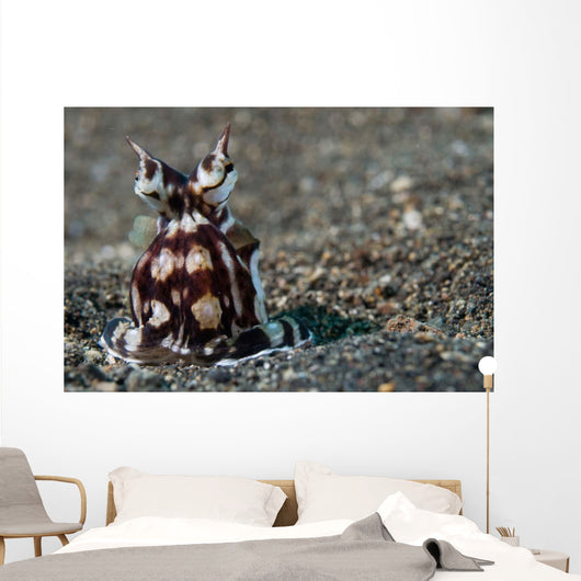 Mimic Octopus Lembeh Strait Wall Decal Design 3