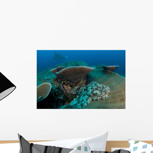 Tassled Wobbegong Shark Sits Wall Decal