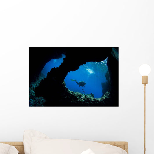 Diver Swims past Boo Wall Decal