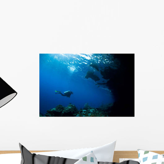 Diver Explores Underhang Mushroom Wall Decal