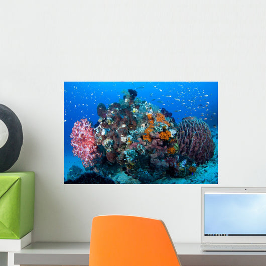 Soft Corals and Barrel Wall Decal