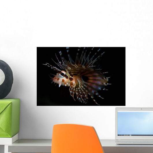 Zebra Lionfish Wall Decal