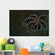 Mimic Octopus Lembeh Strait Wall Decal Design 2