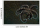 Mimic Octopus Lembeh Strait Wall Decal Design 2