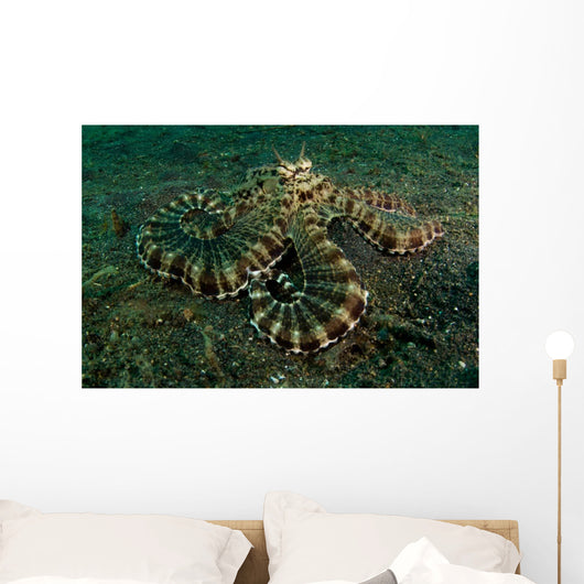 Mimic Octopus Lembeh Strait Wall Decal Design 1